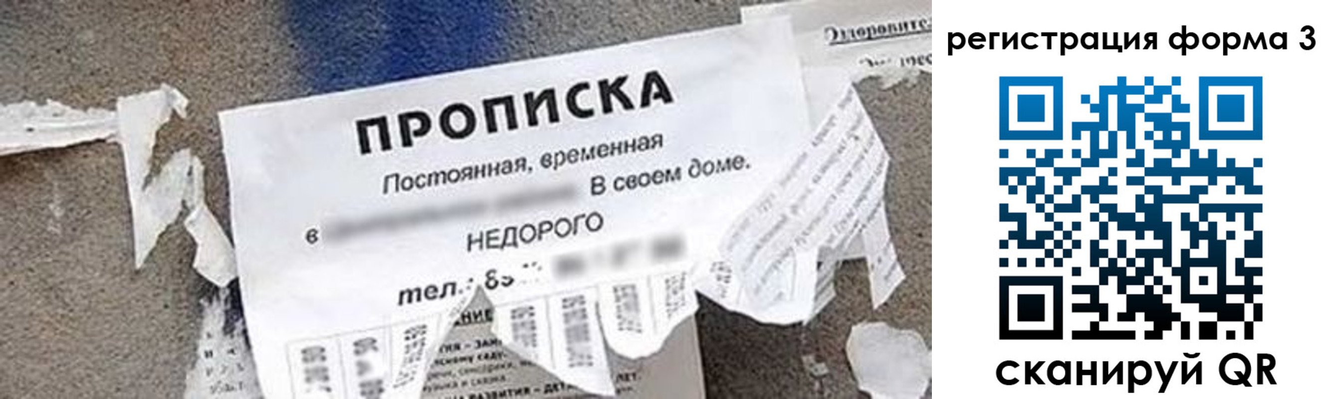 прописка 2025 в Сертолово